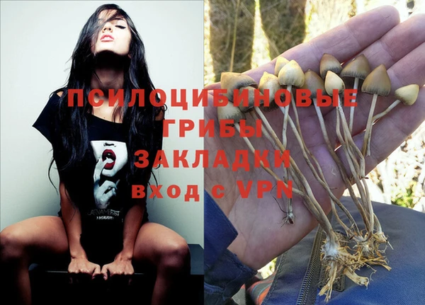 спайс Вязники