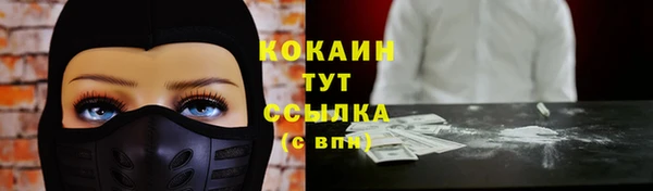 крисы Вяземский